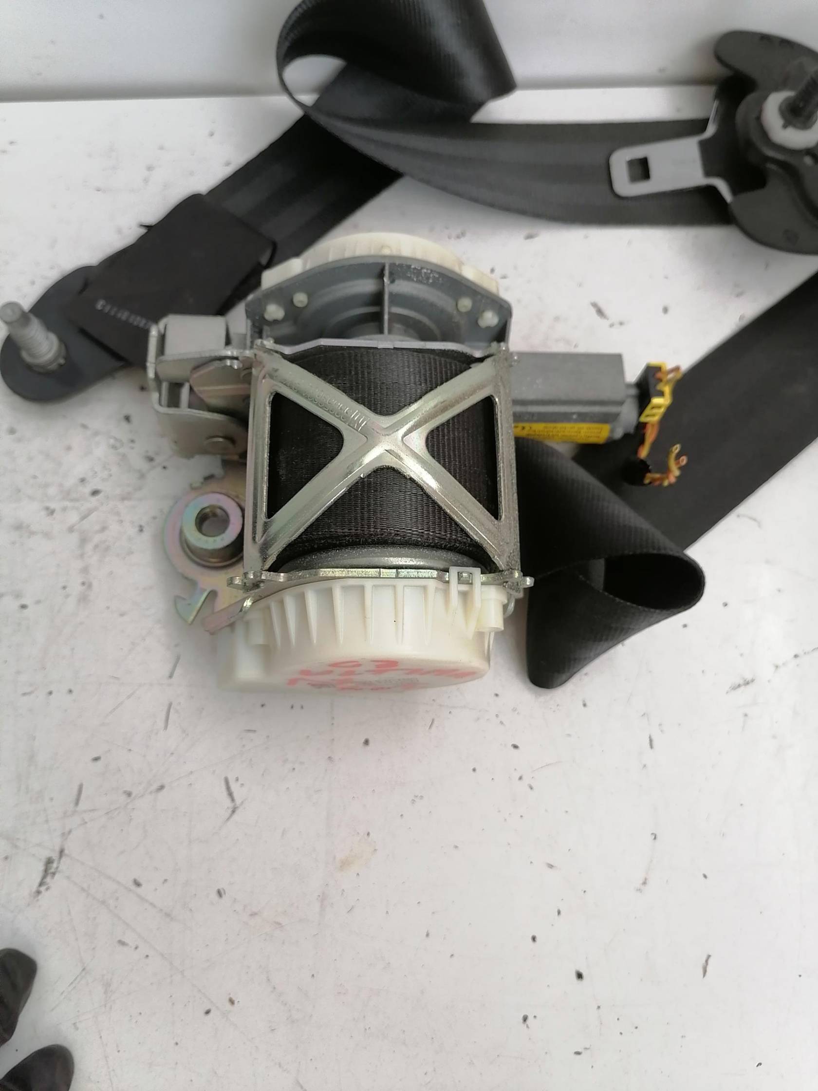 Cintura di sicurezza ant. dx.